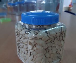 Hủ thực phẩm Vuông